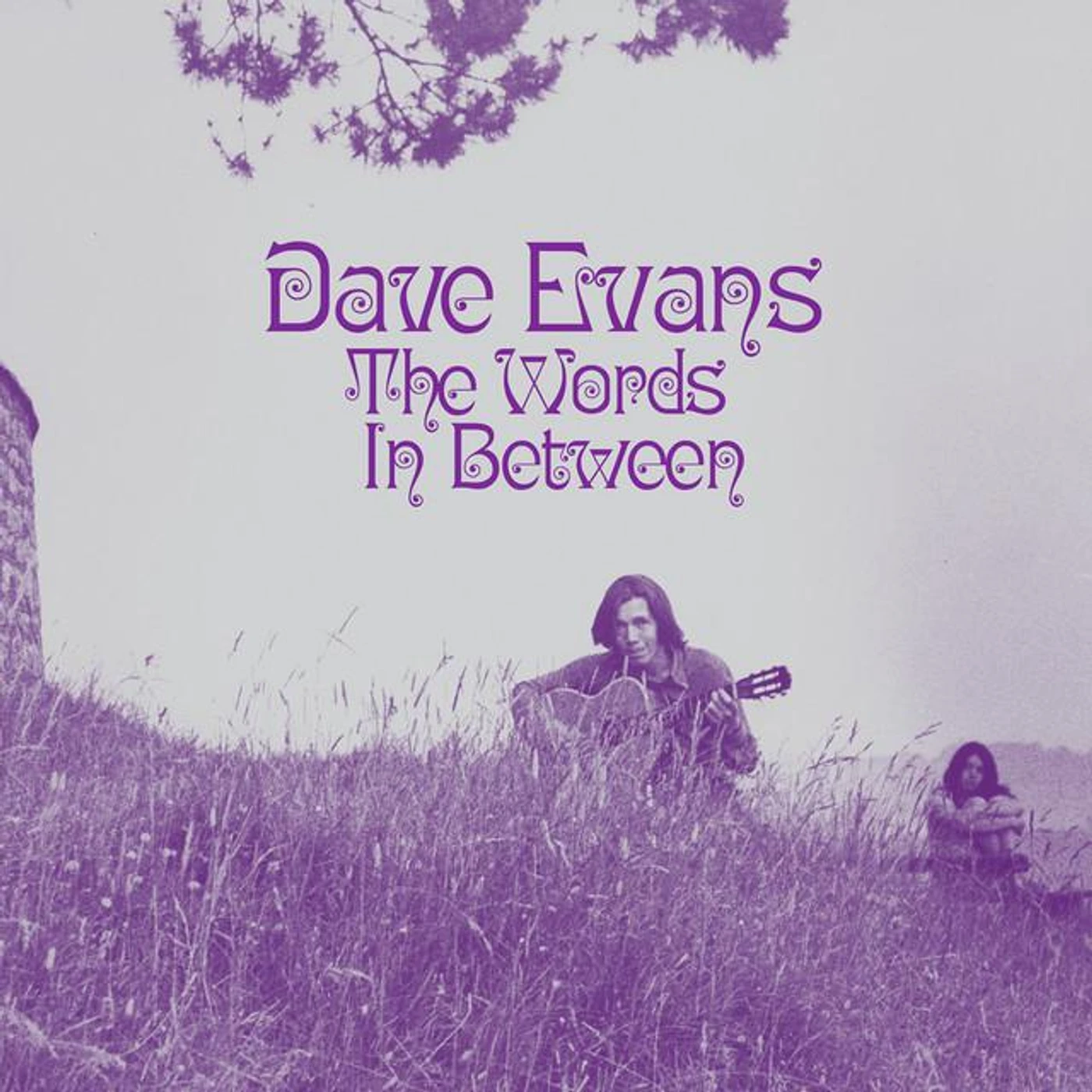 Dave Evans Brand Page