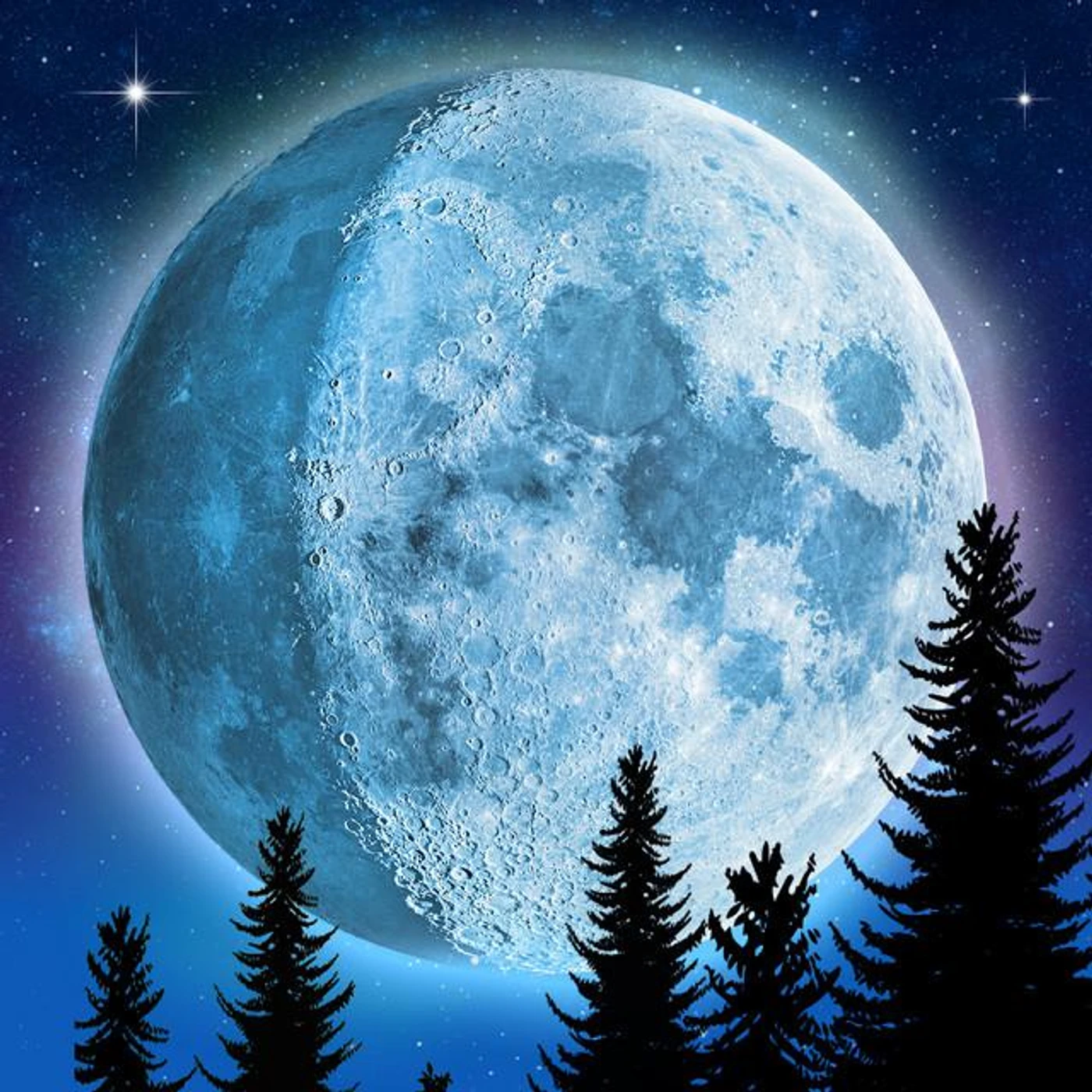 David Unger Brand Page