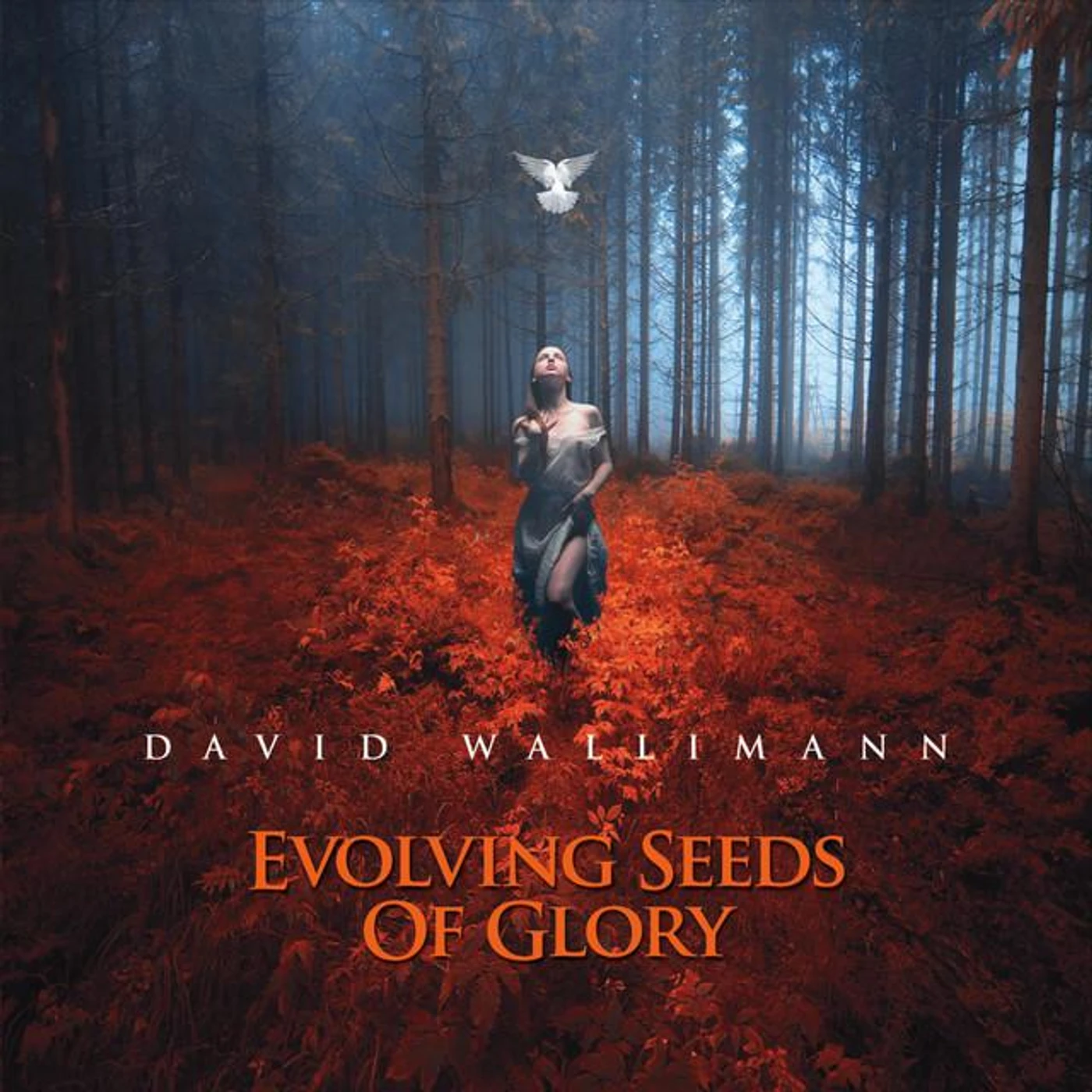 David Wallimann Brand Page
