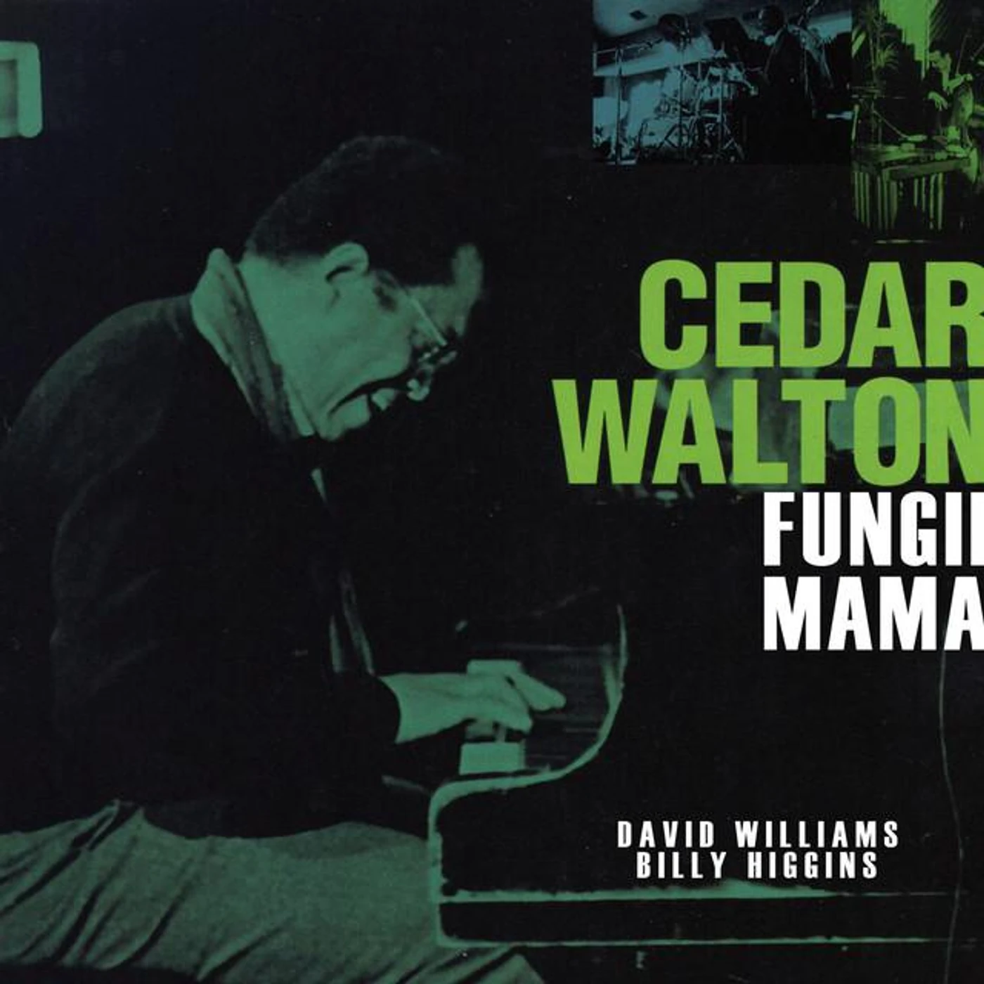 David Williams Brand Page