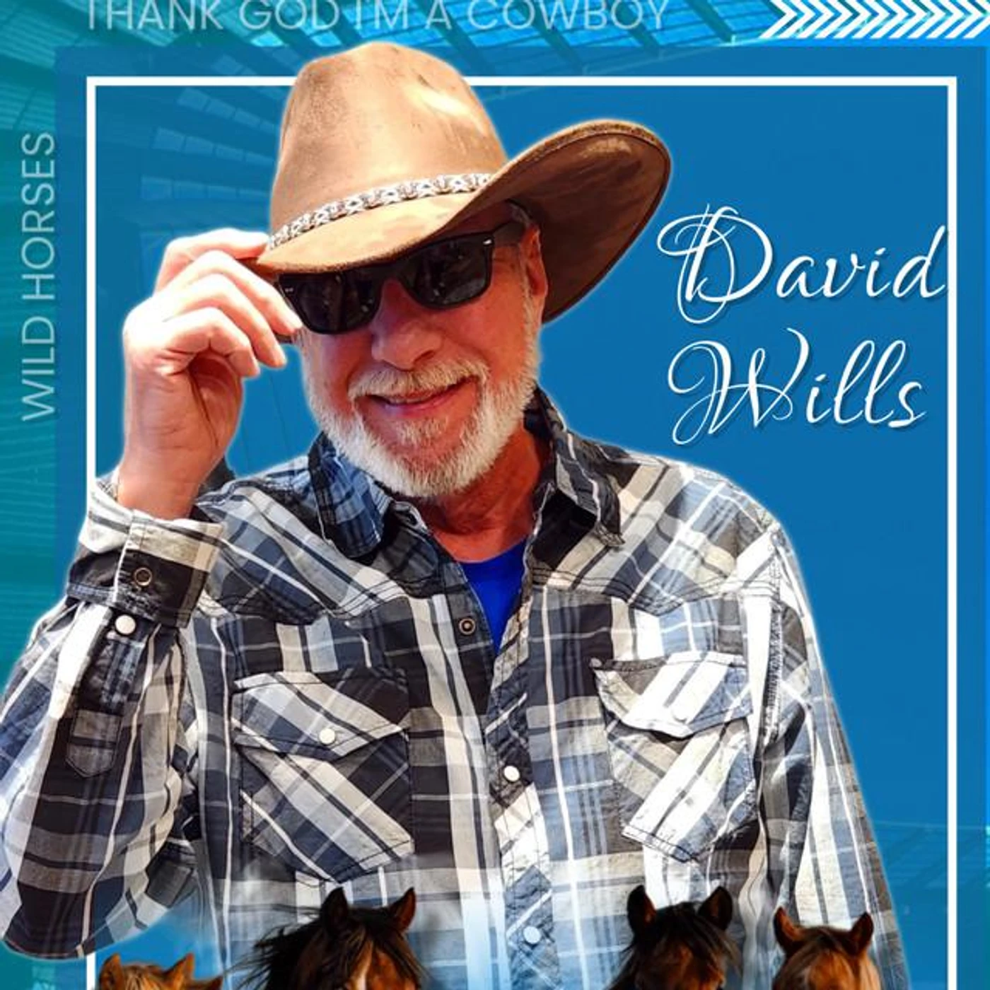 David Wills Brand Page