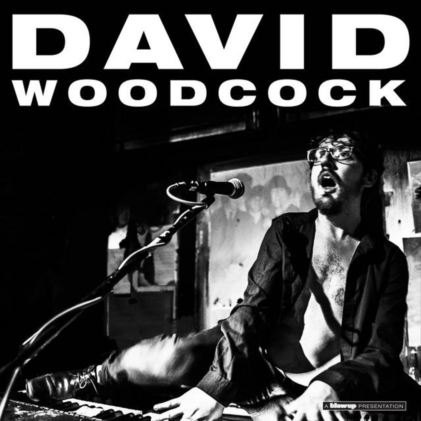 David Woodcock Brand Page