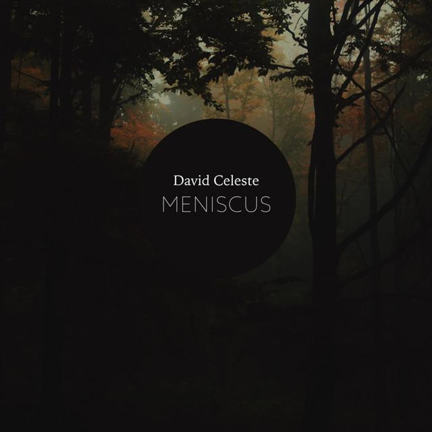 David Celeste Brand Page