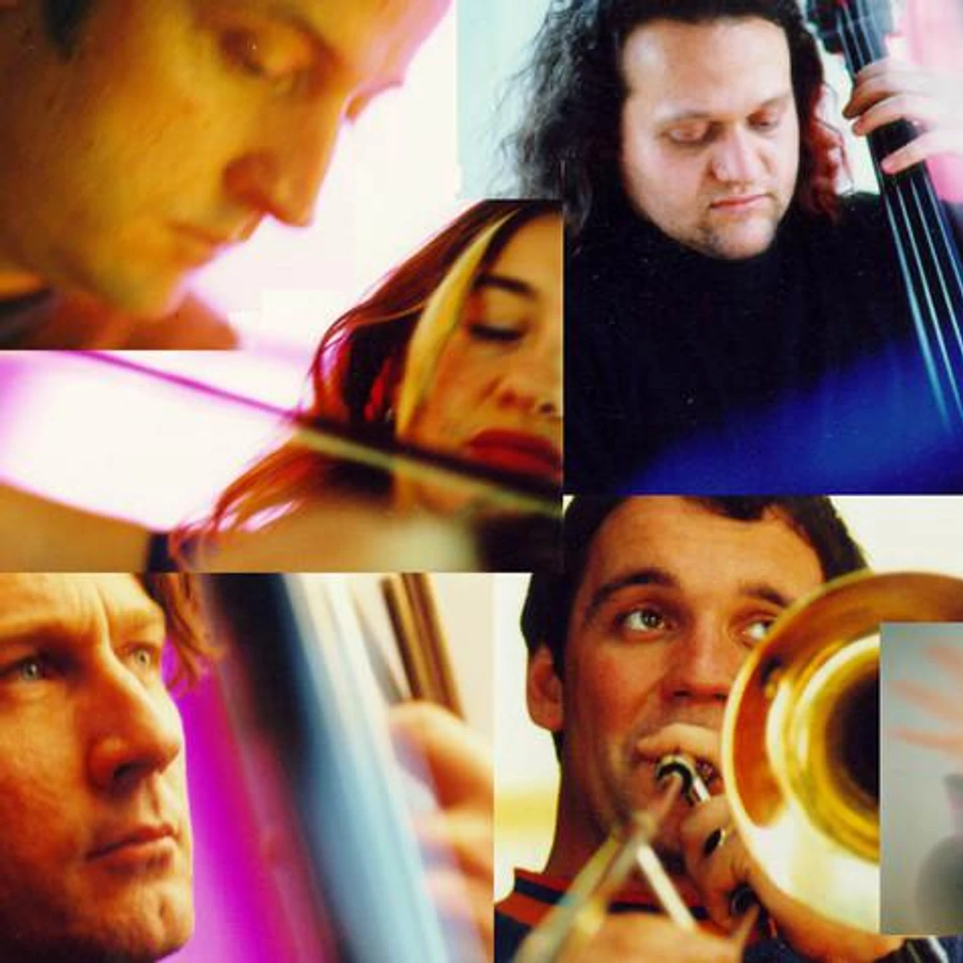 David Chesworth Brand Page
