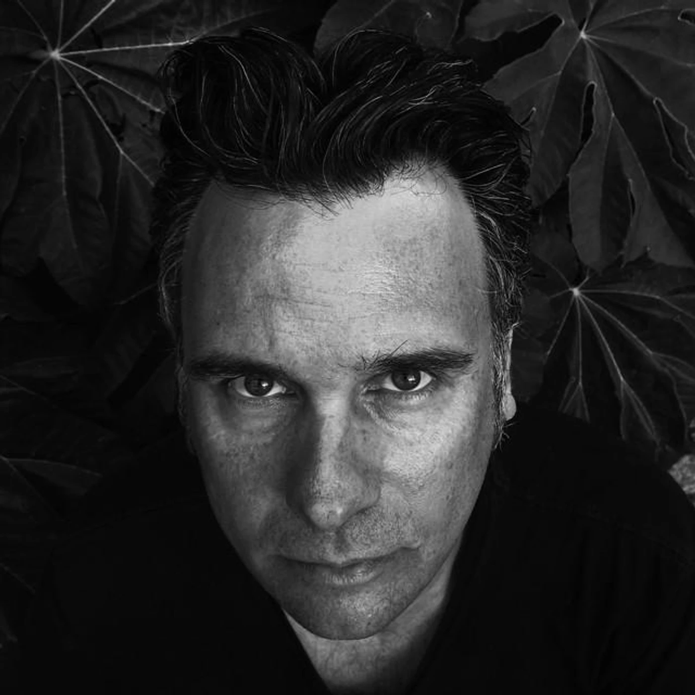 David Fenech Brand Page