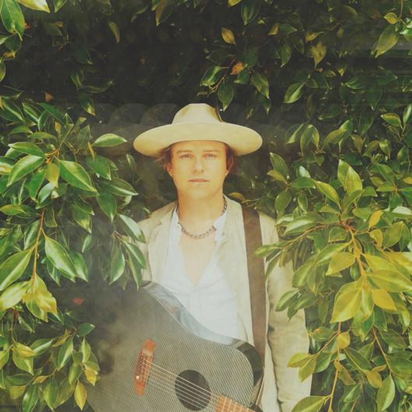 David Frank Brand Page