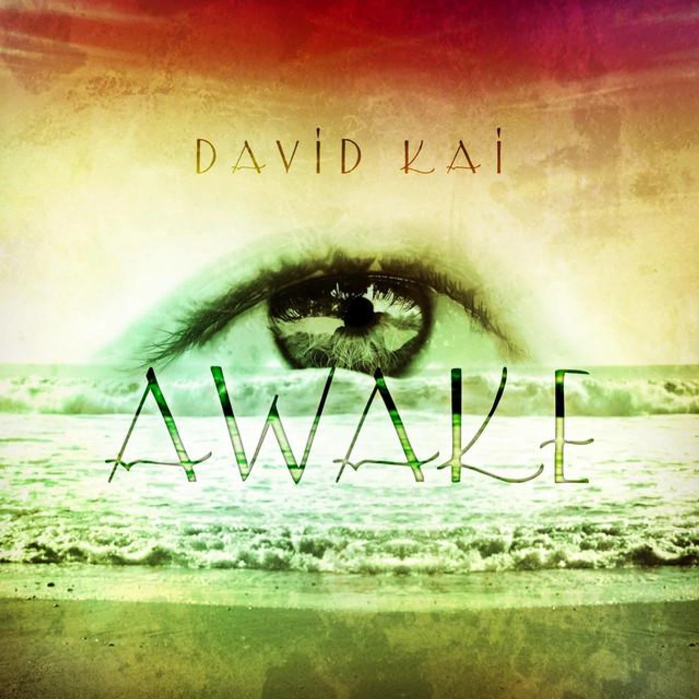 David Kai Brand Page