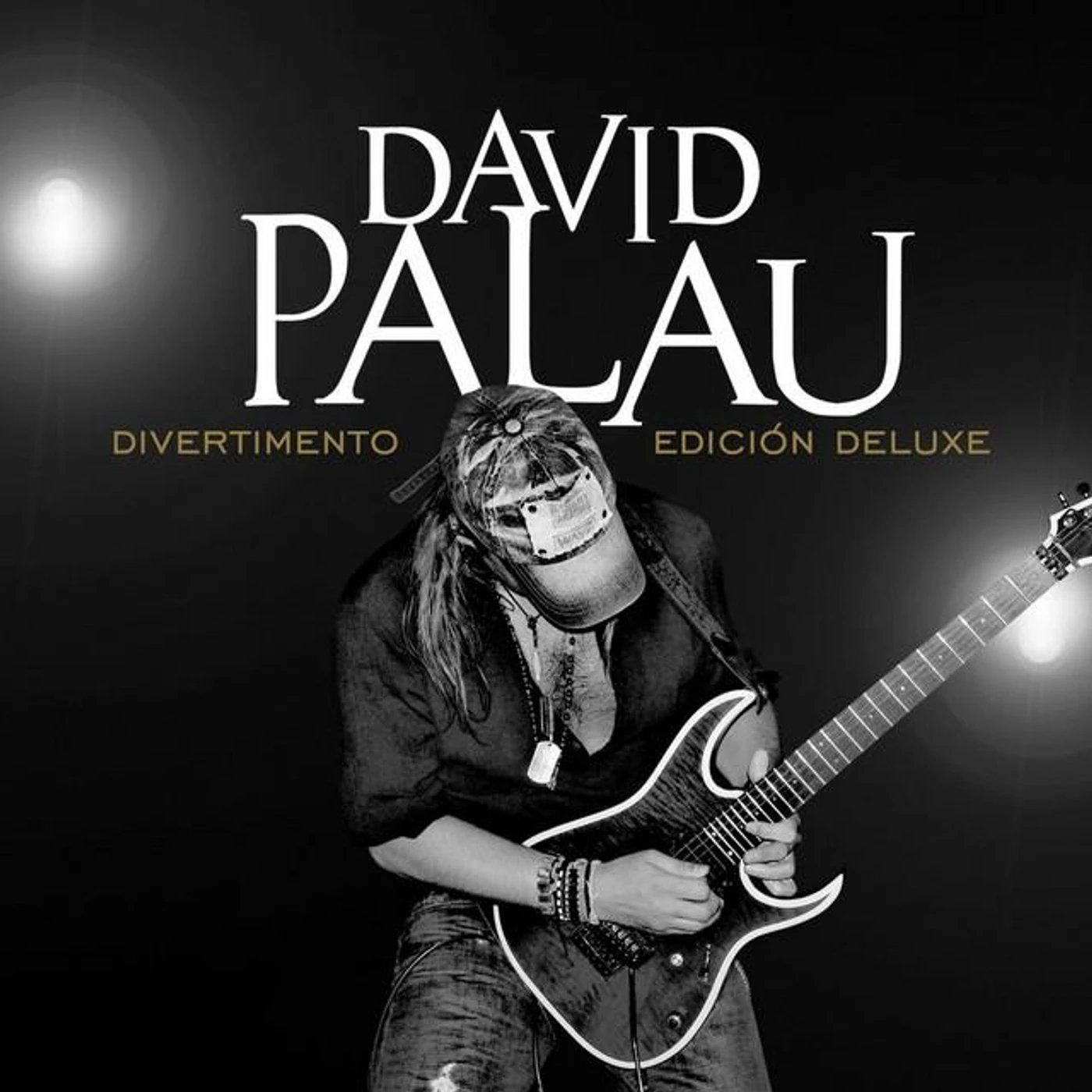 David Palau Brand Page