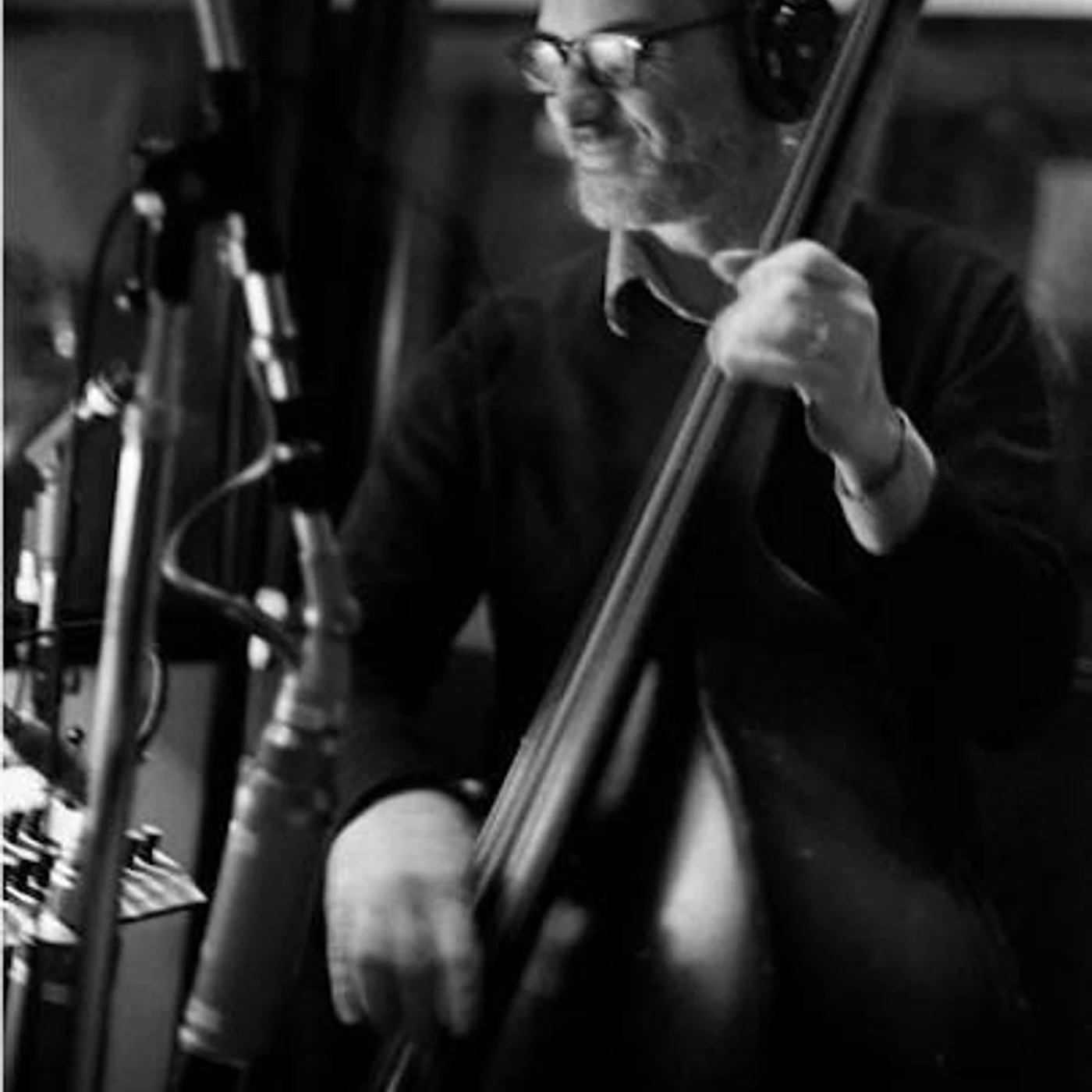 David Piltch Brand Page