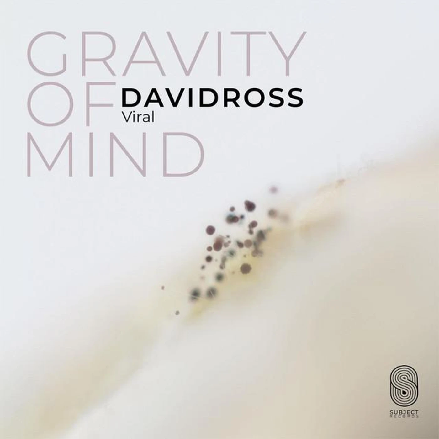 David Ross Brand Page