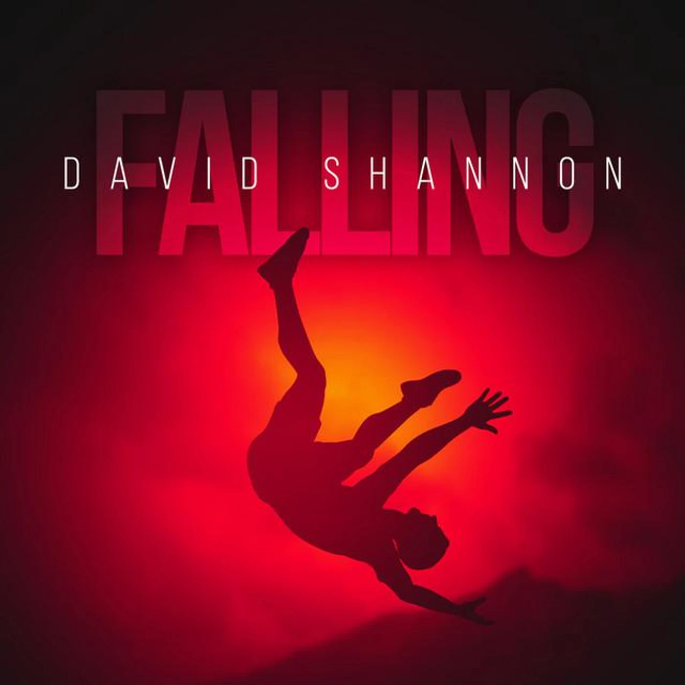 David Shannon Brand Page