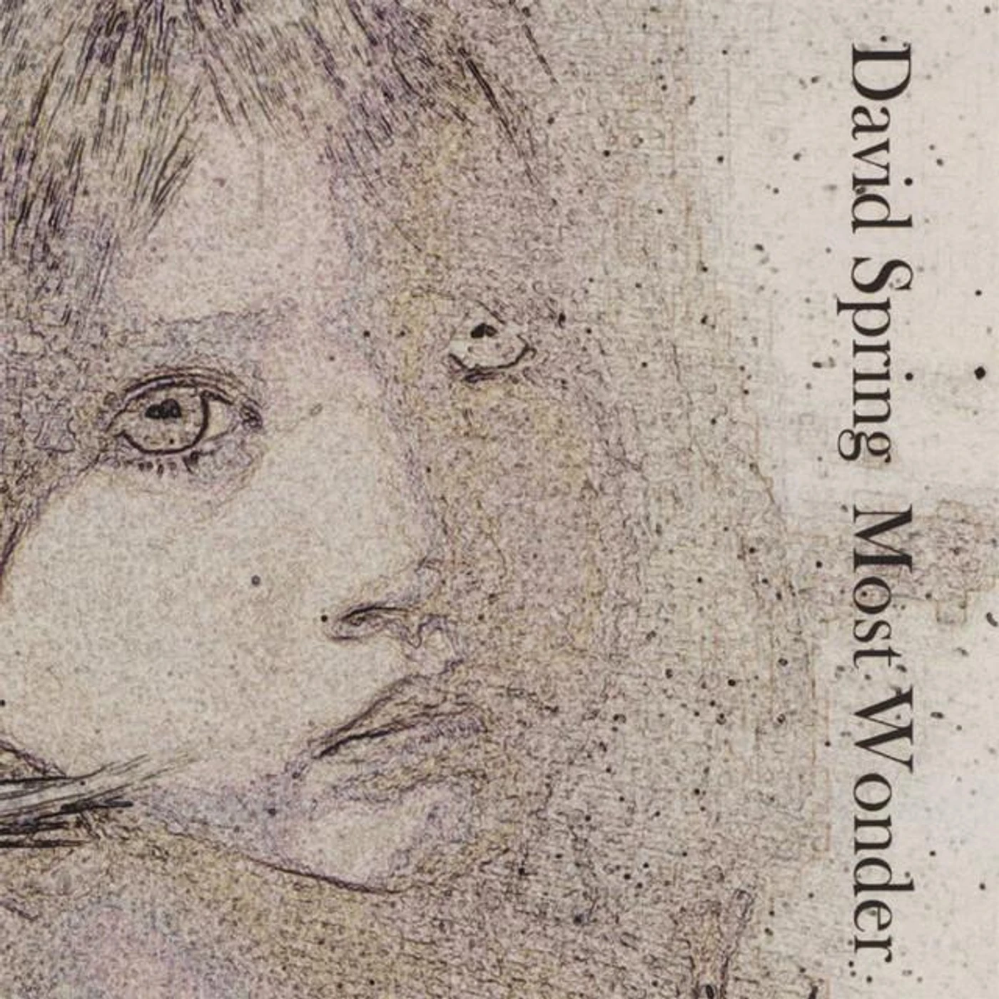 David Spring Brand Page