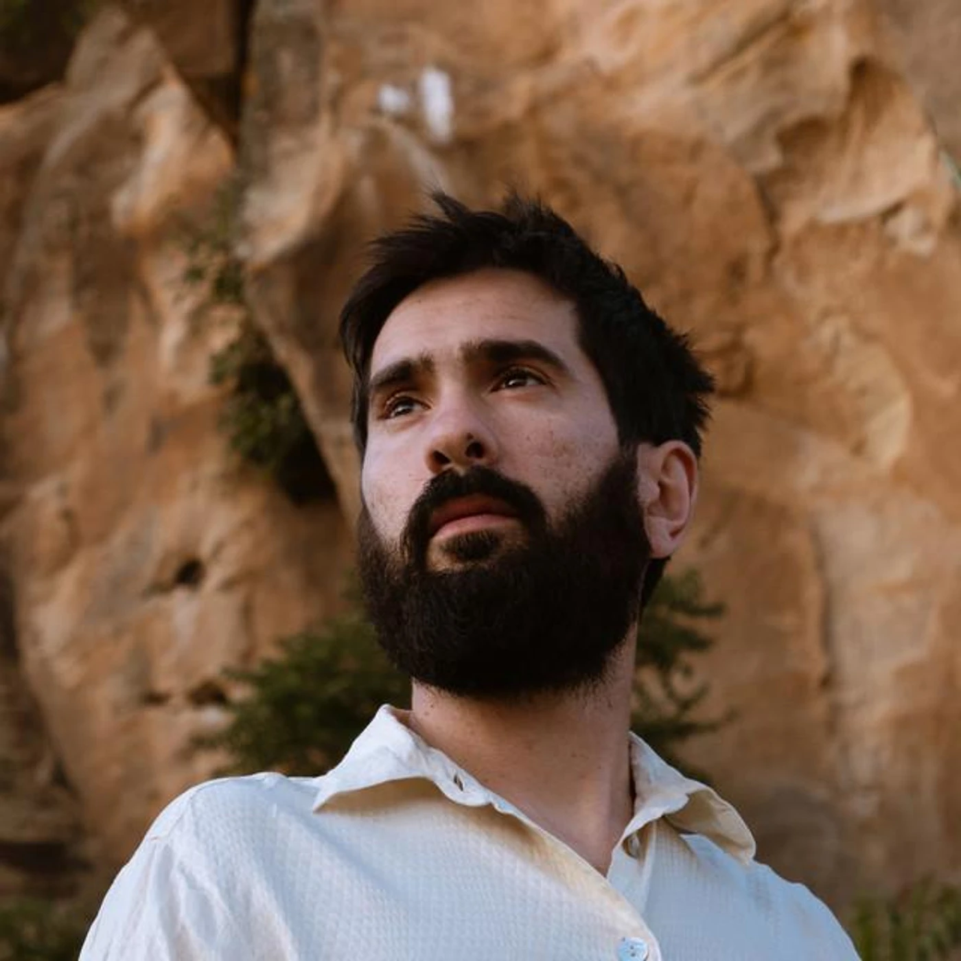 Davide Ambrogio Brand Page