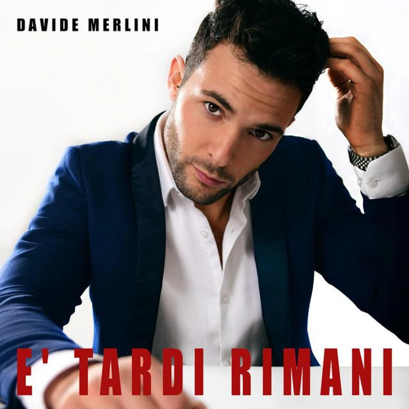 Davide Merlini Brand Page