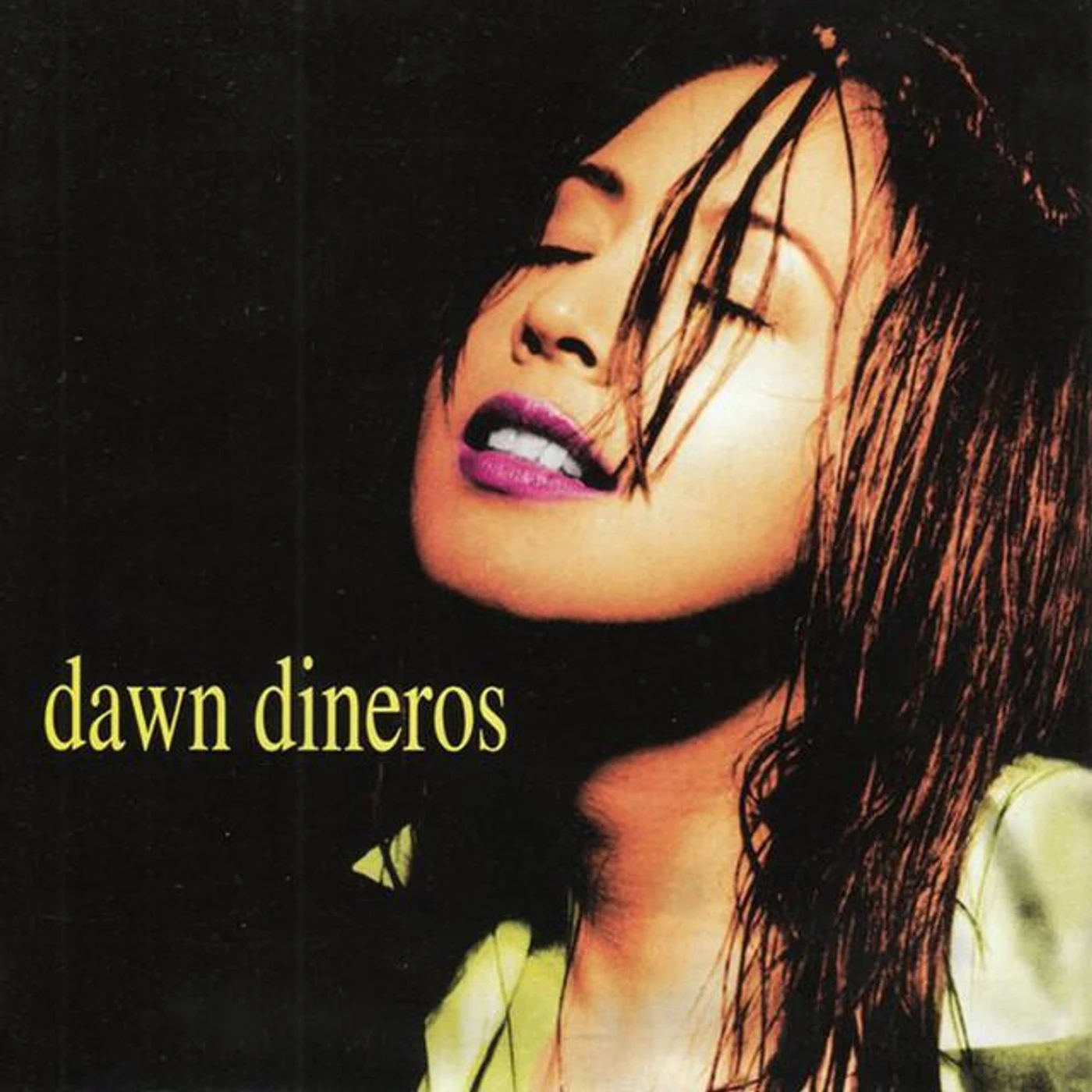 Dawn Dineros Brand Page