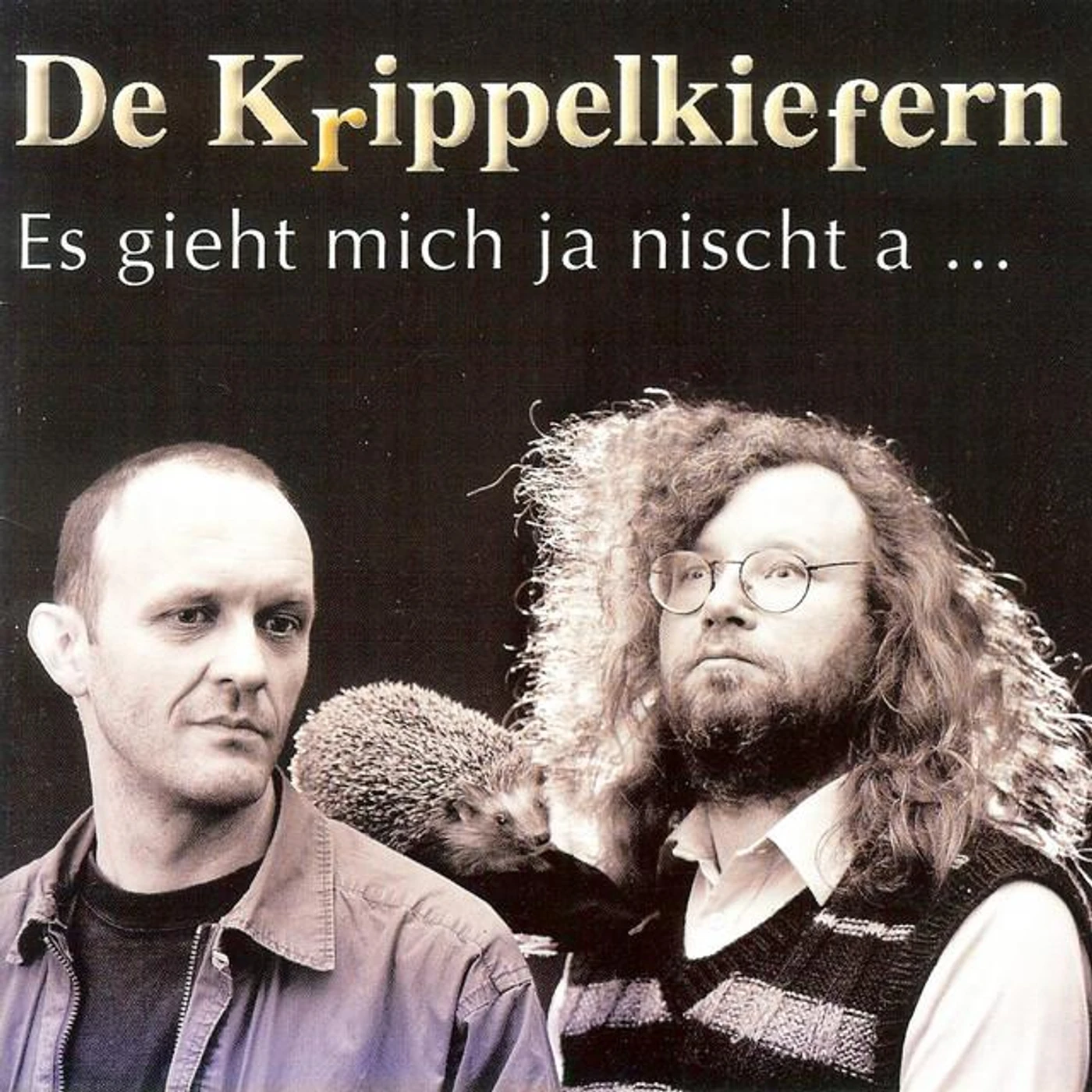 De Krippelkiefern Brand Page
