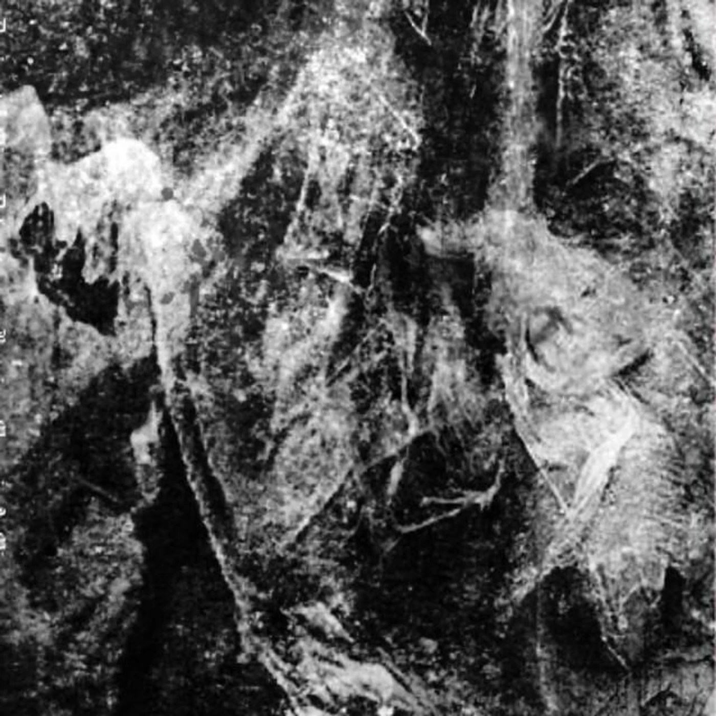 Denigrata