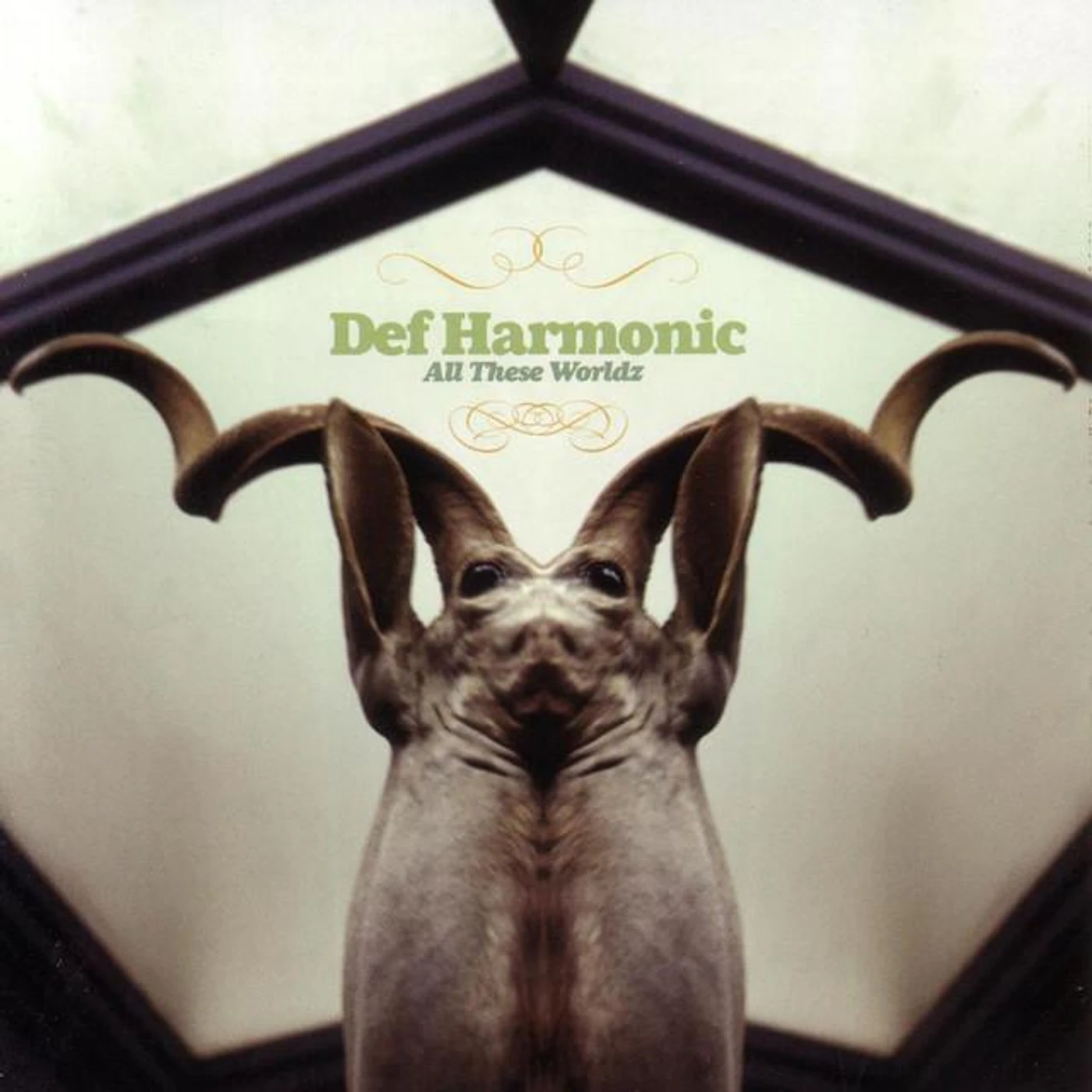 Def Harmonic Brand Page