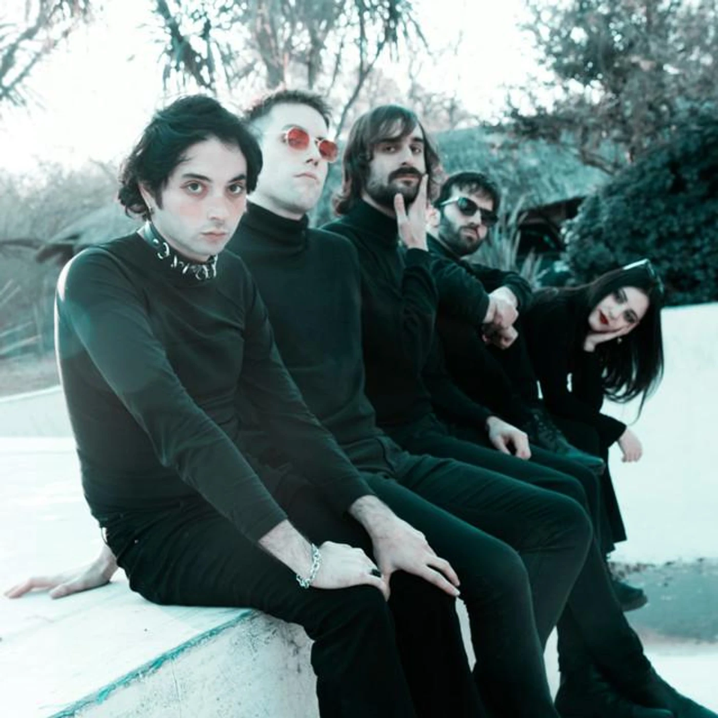 Delfines Entrenados Para Matar