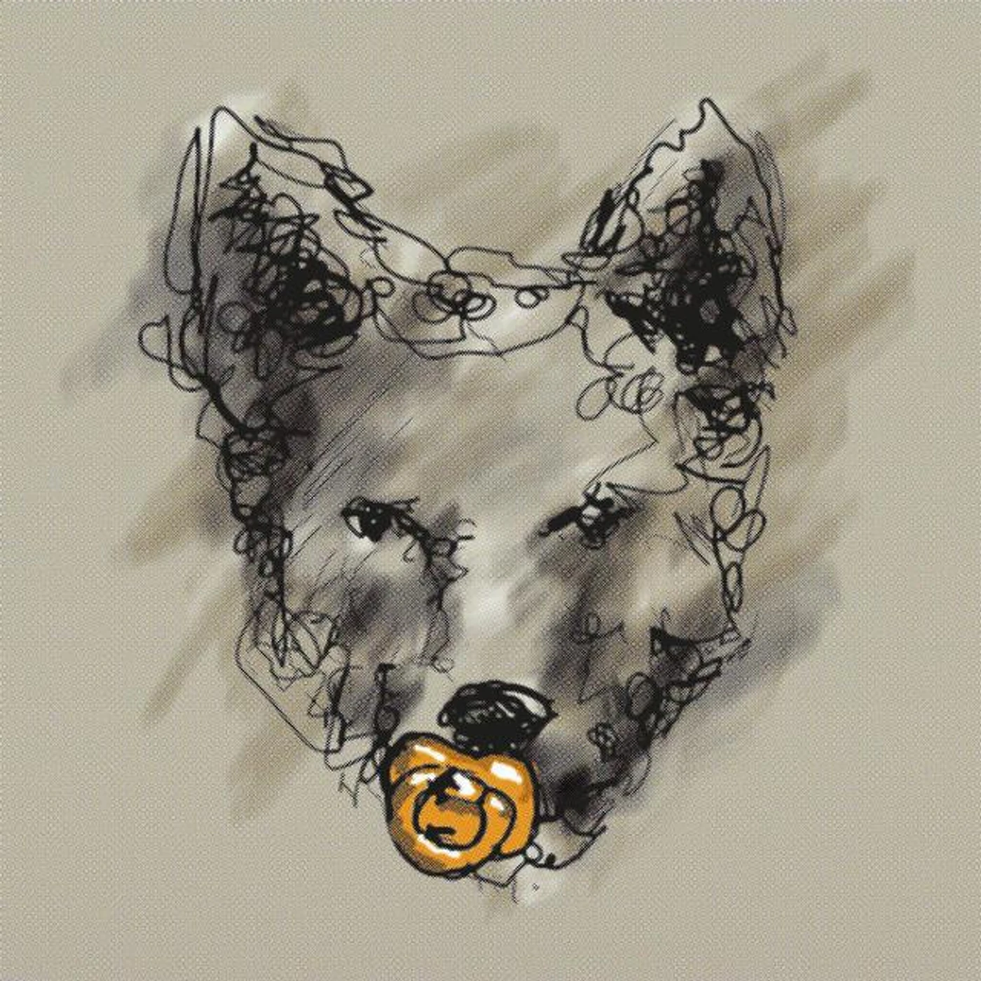 Dingoes Ate My Baby