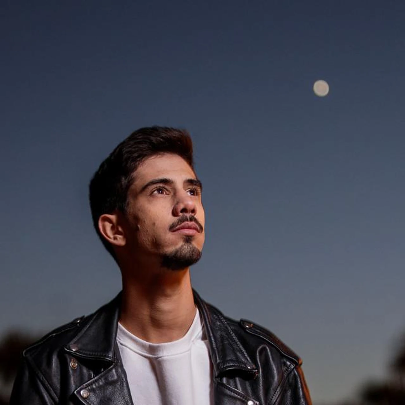 Dinis Mateus Brand Page