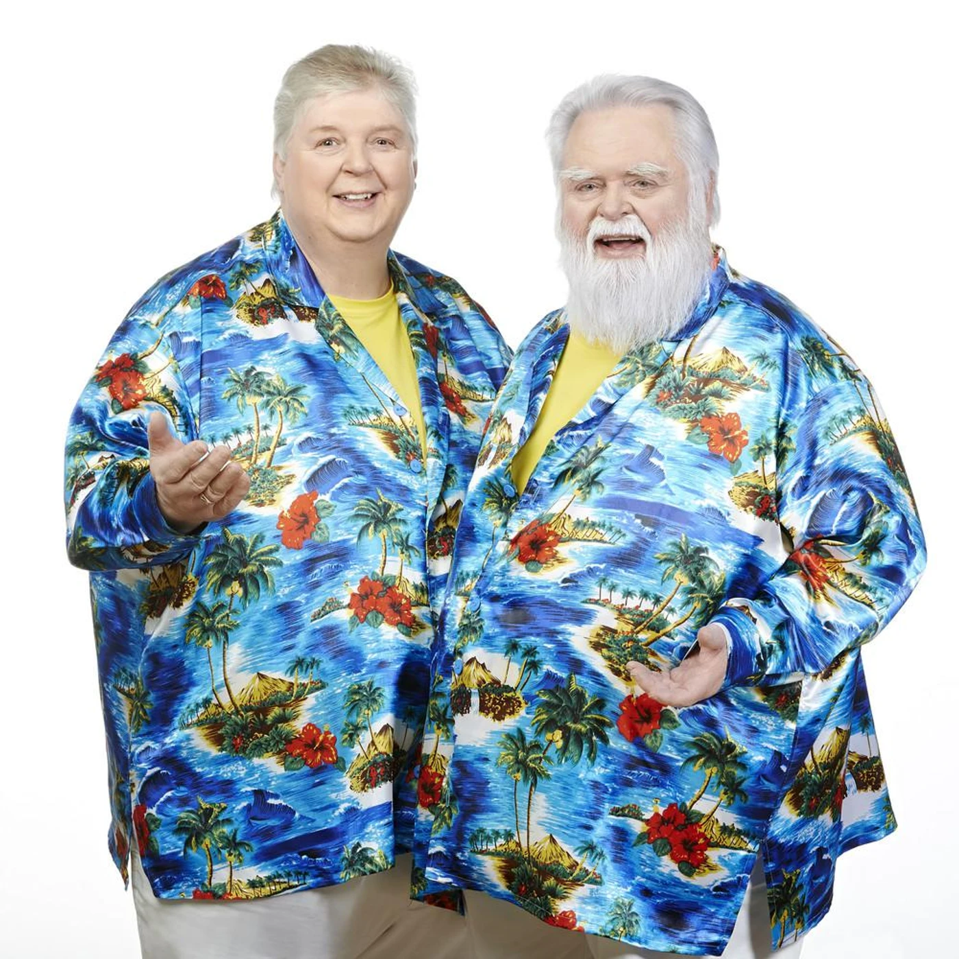 Die Wildecker Herzbuben Brand Page