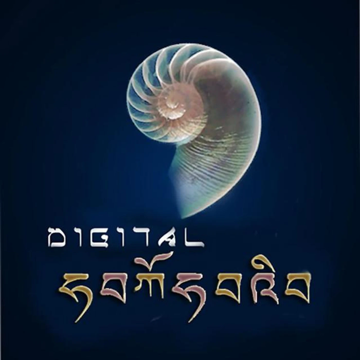 Digital Samsara Brand Page