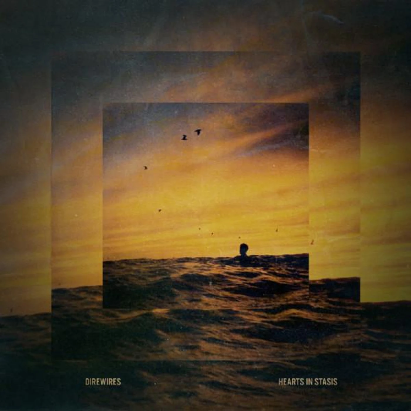 Direwires Brand Page