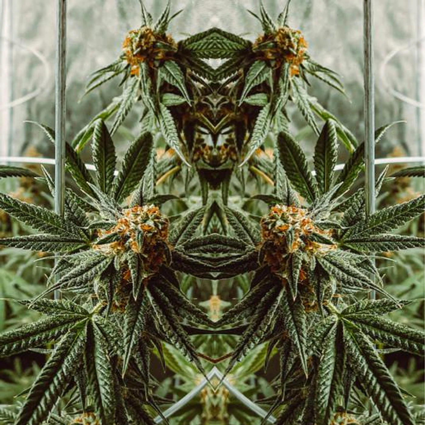 DJ Hendu Gotti Brand Page