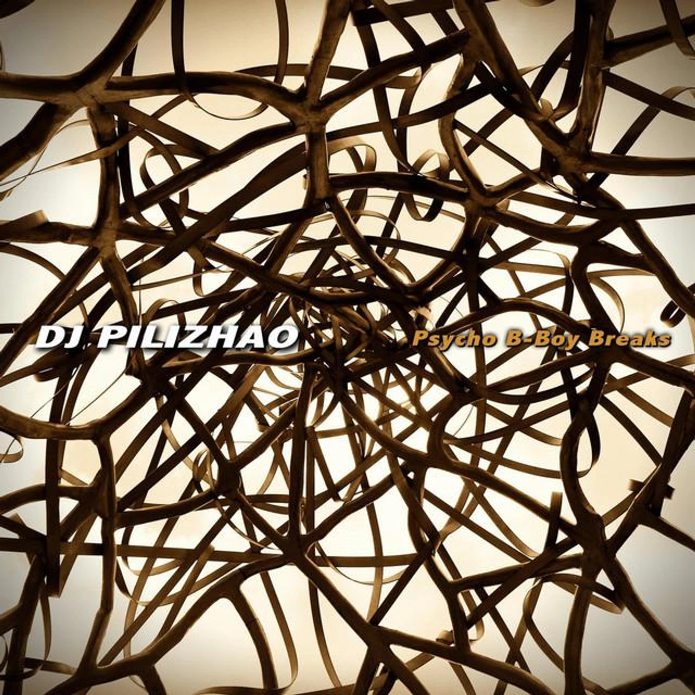 DJ Pilizhao Brand Page