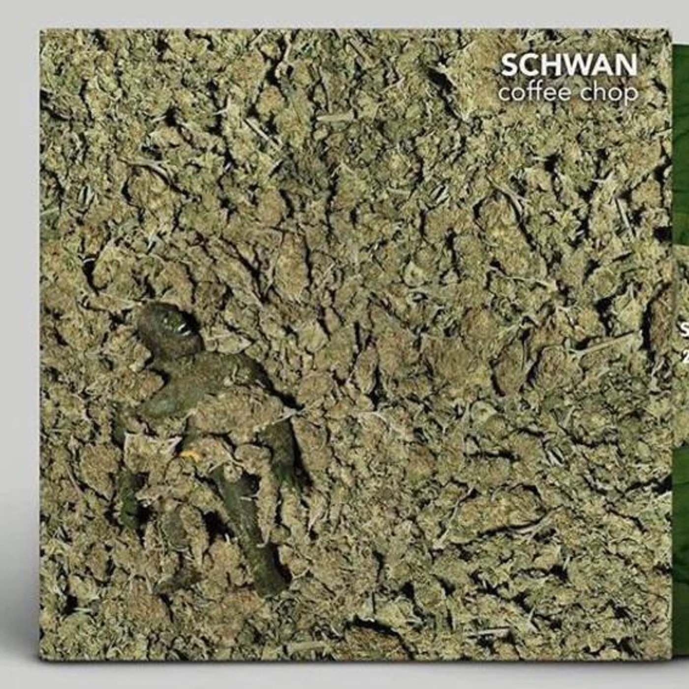 DJ Schwan