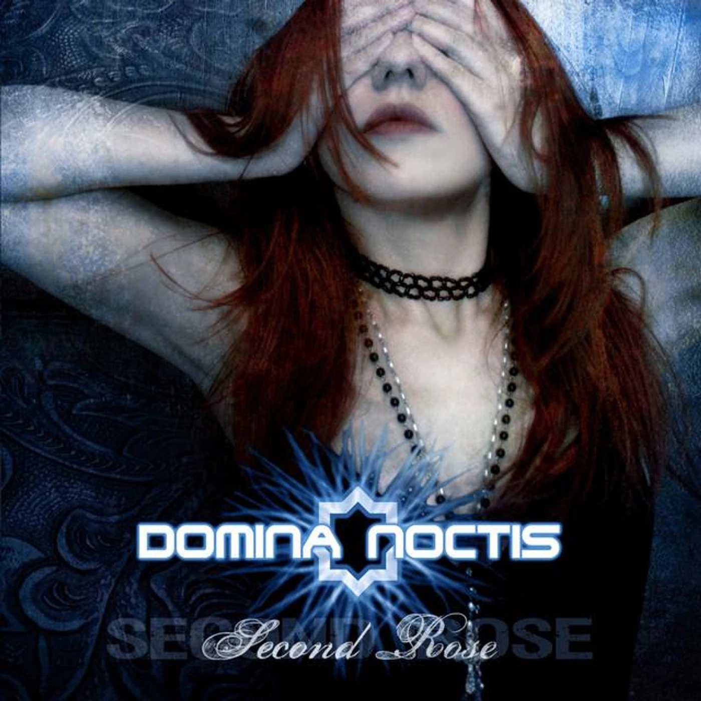 Domina Noctis Brand Page