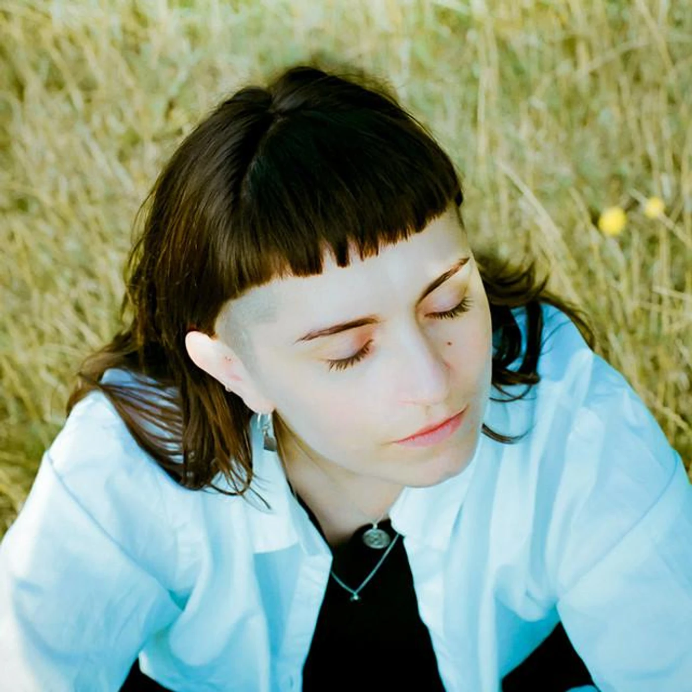 Dominie Hooper Brand Page