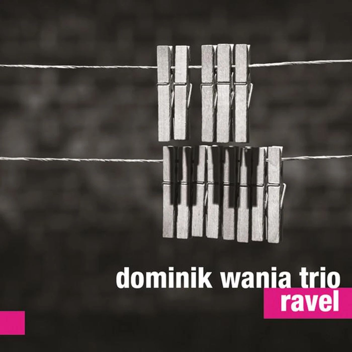 Dominik Wania Trio Brand Page