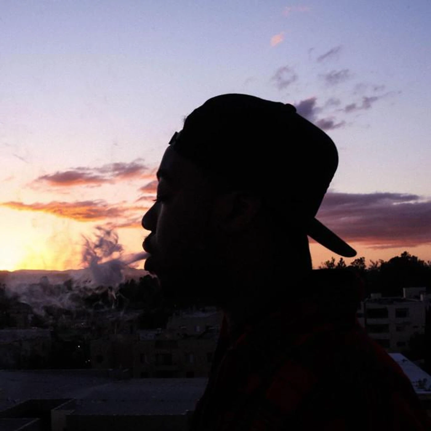 Domo Genesis Brand Page