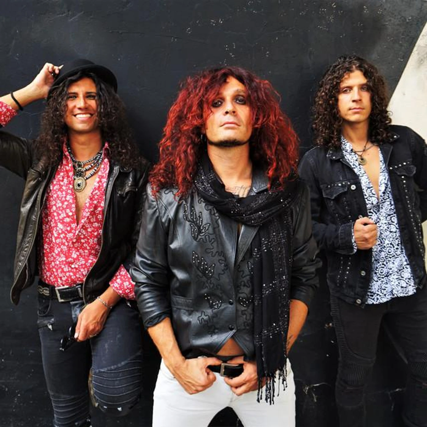 Dobermann Brand Page