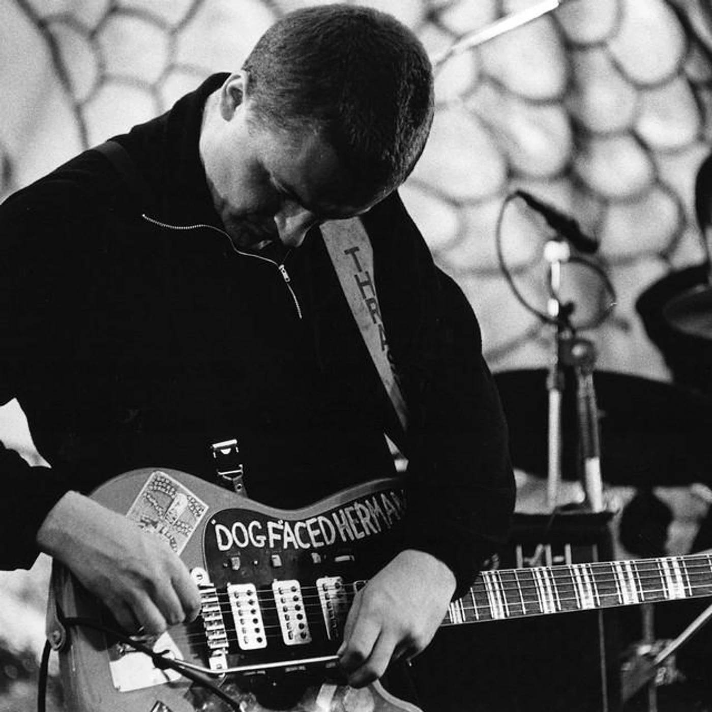 Dog Faced Hermans Brand Page