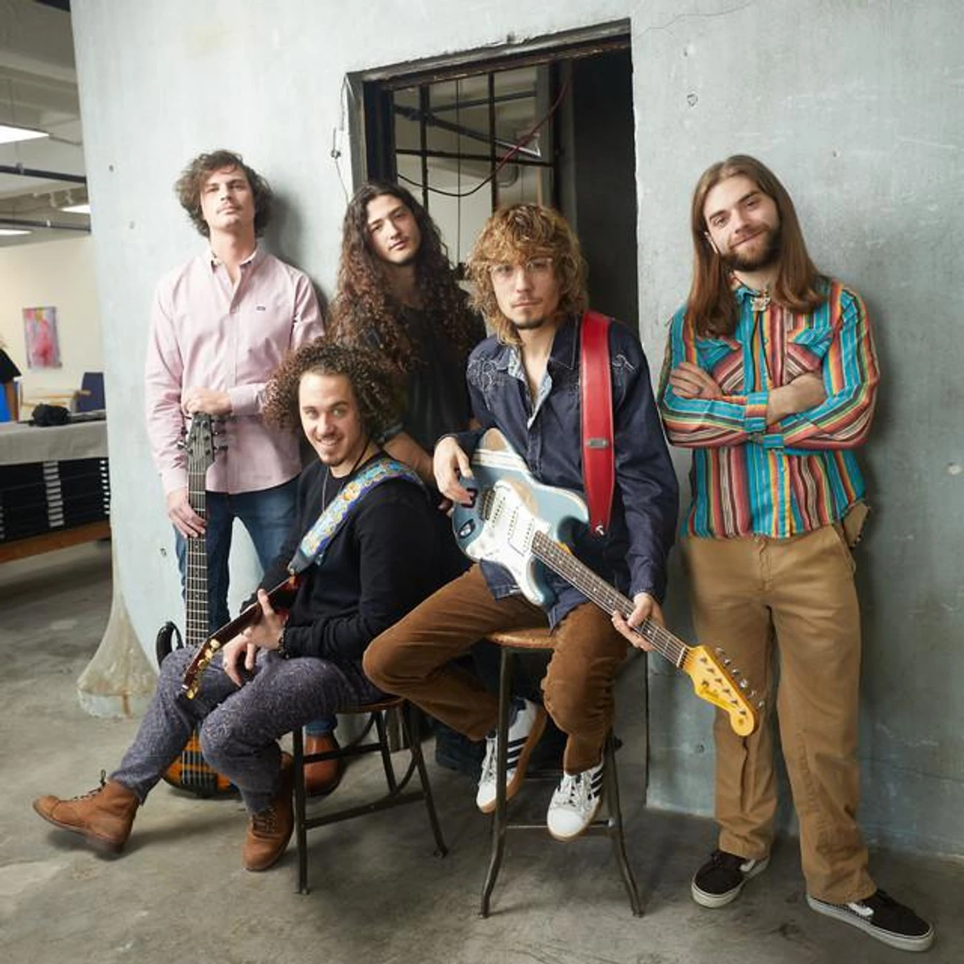 Dogs In A Pile Brand Page