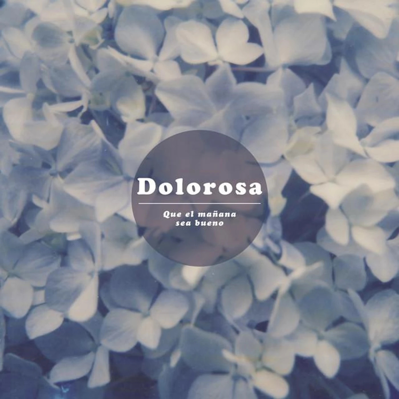 Dolorosa Brand Page