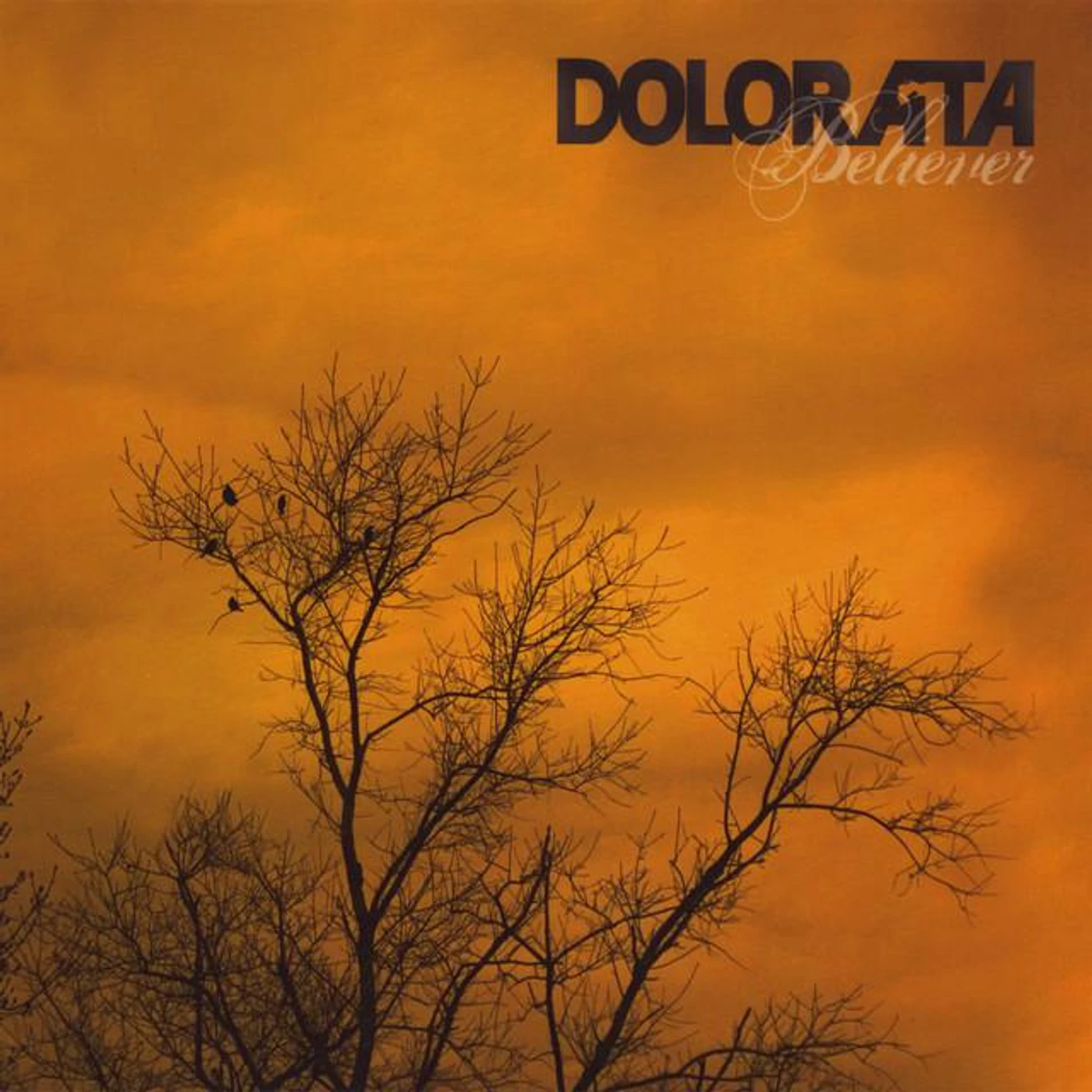 Dolorata Brand Page