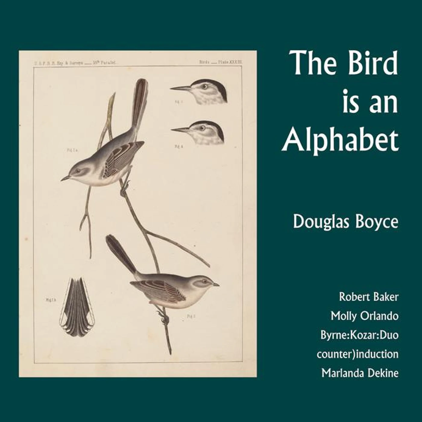 Douglas Boyce Brand Page