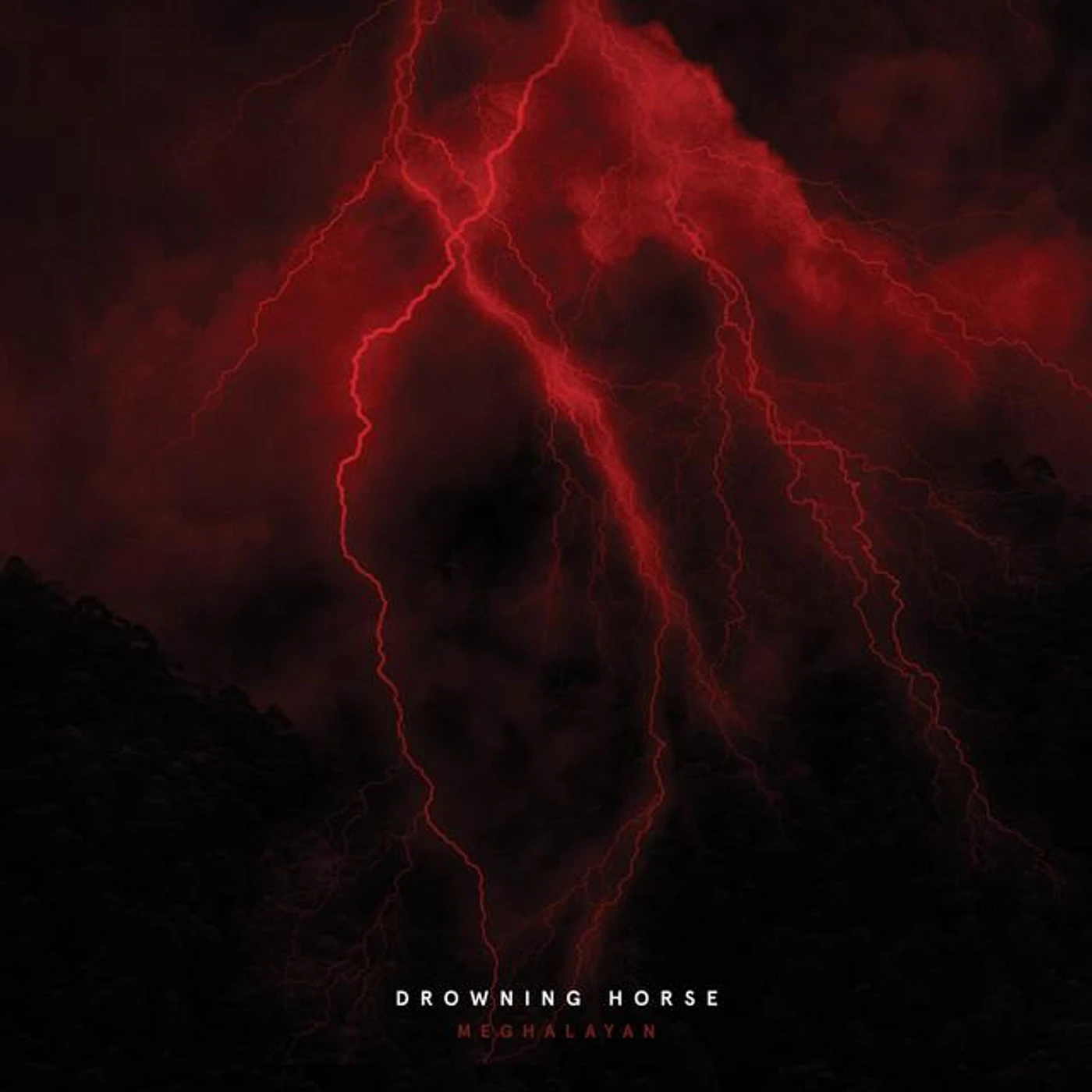 Drowning Horse Brand Page