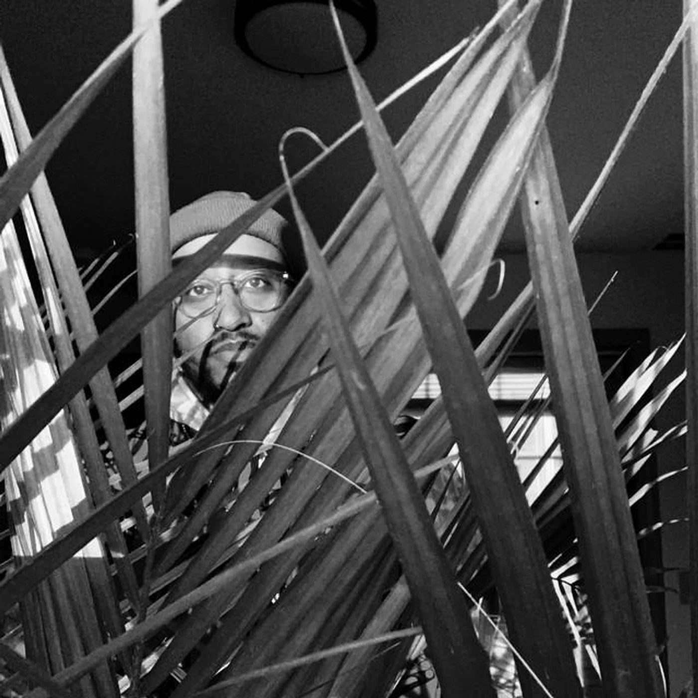 dragonchild Brand Page