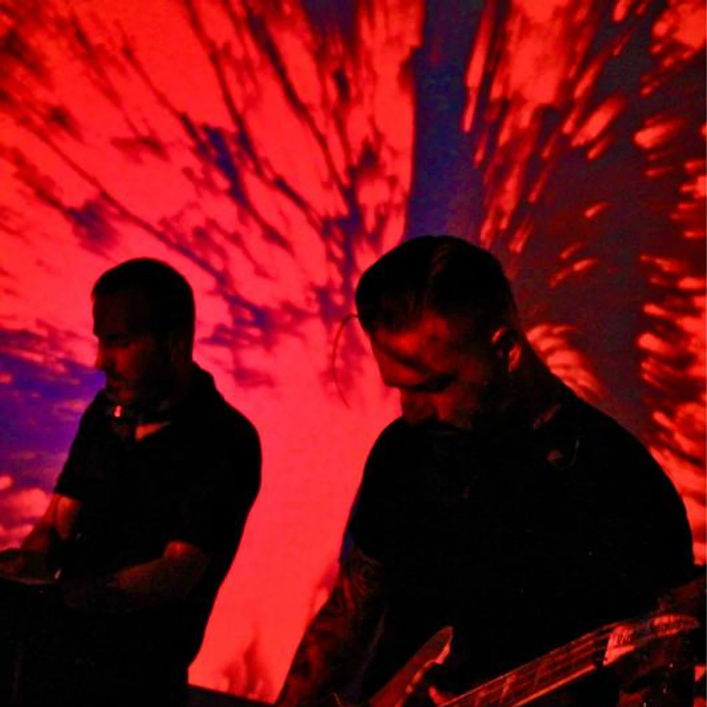 Dressel Amorosi Brand Page