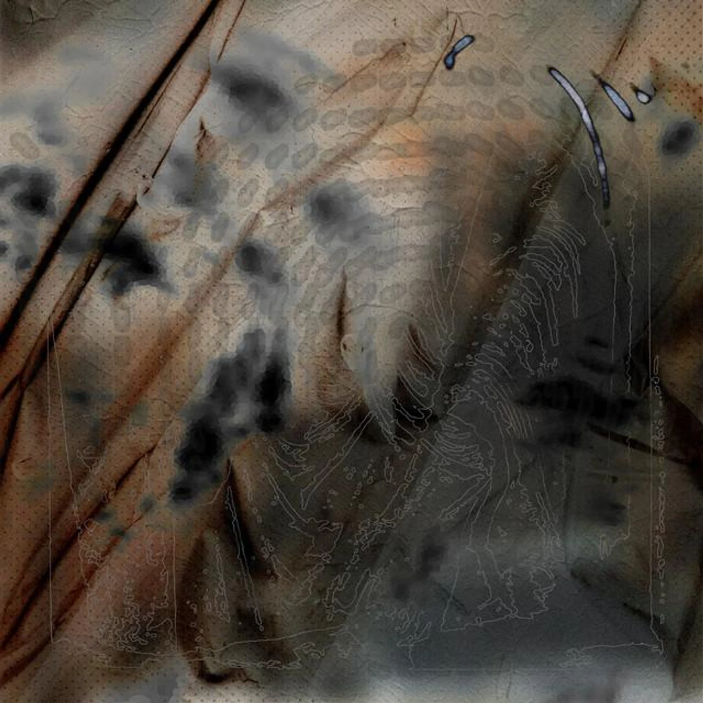 The Drift Institute Brand Page