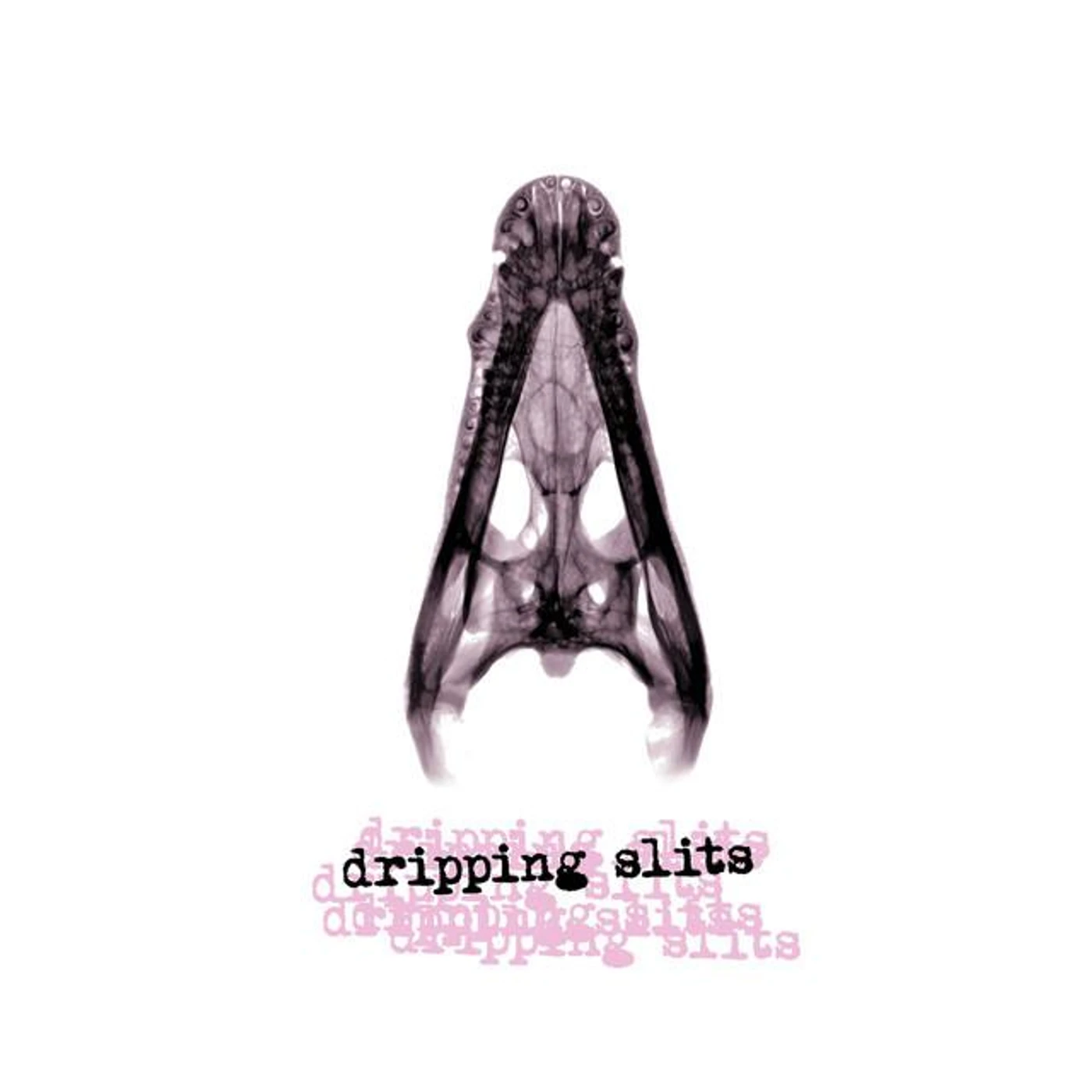 Dripping Slits Brand Page
