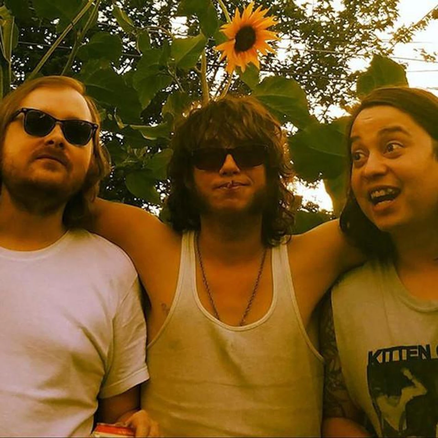 Dry Heeves Brand Page