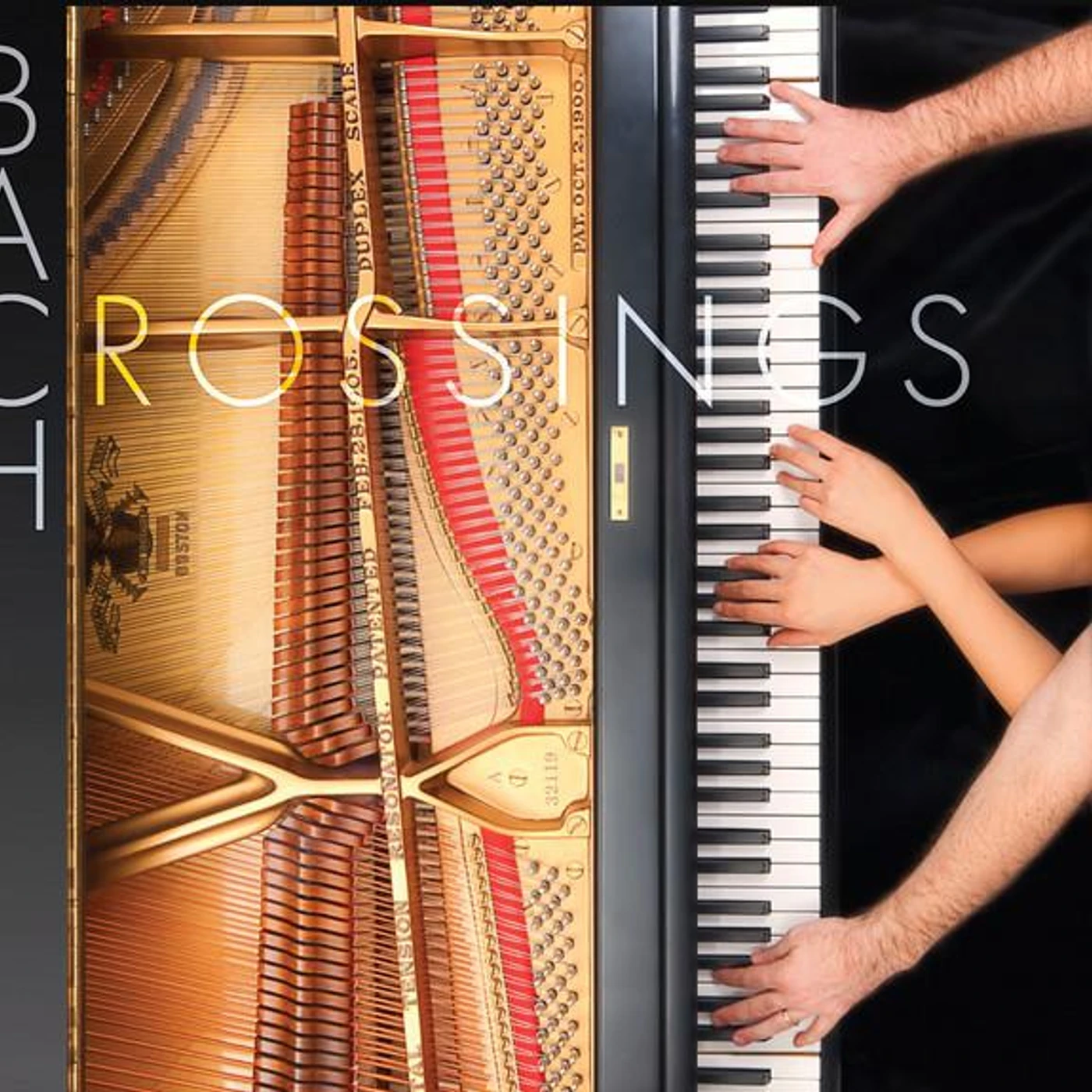 Duo Stephanie and Saar