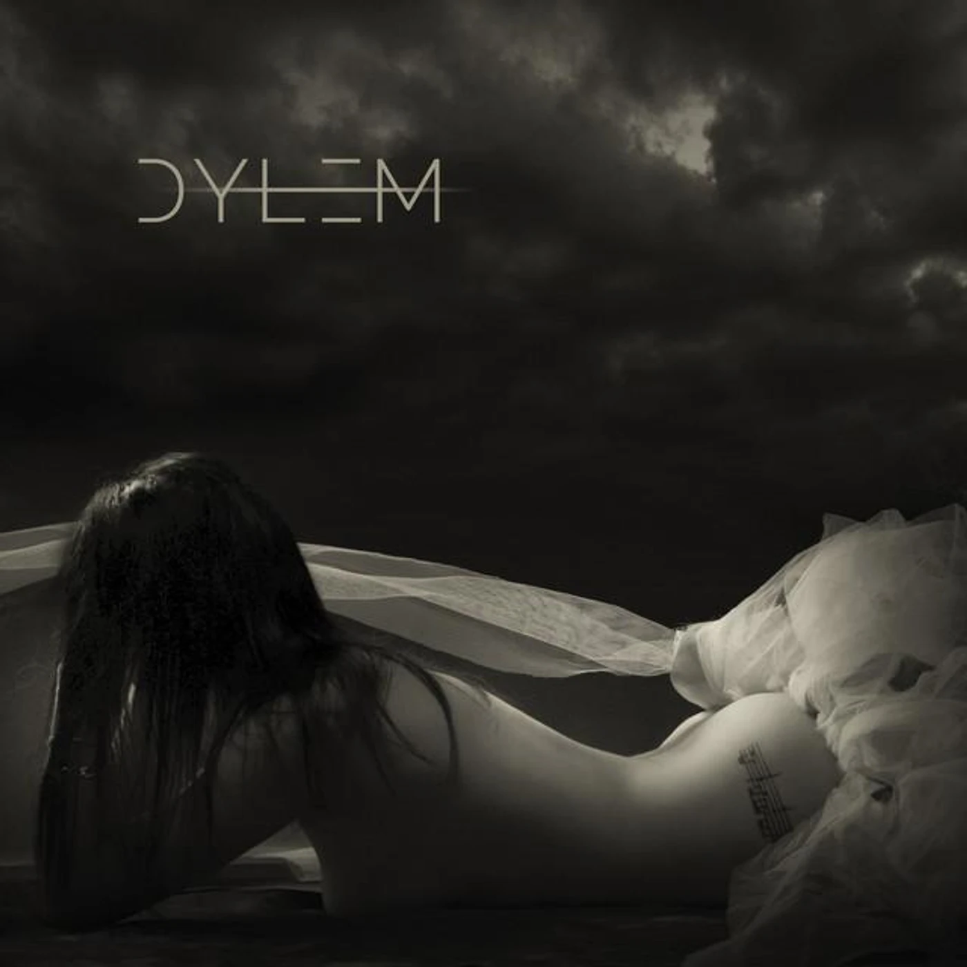 Dylem Brand Page