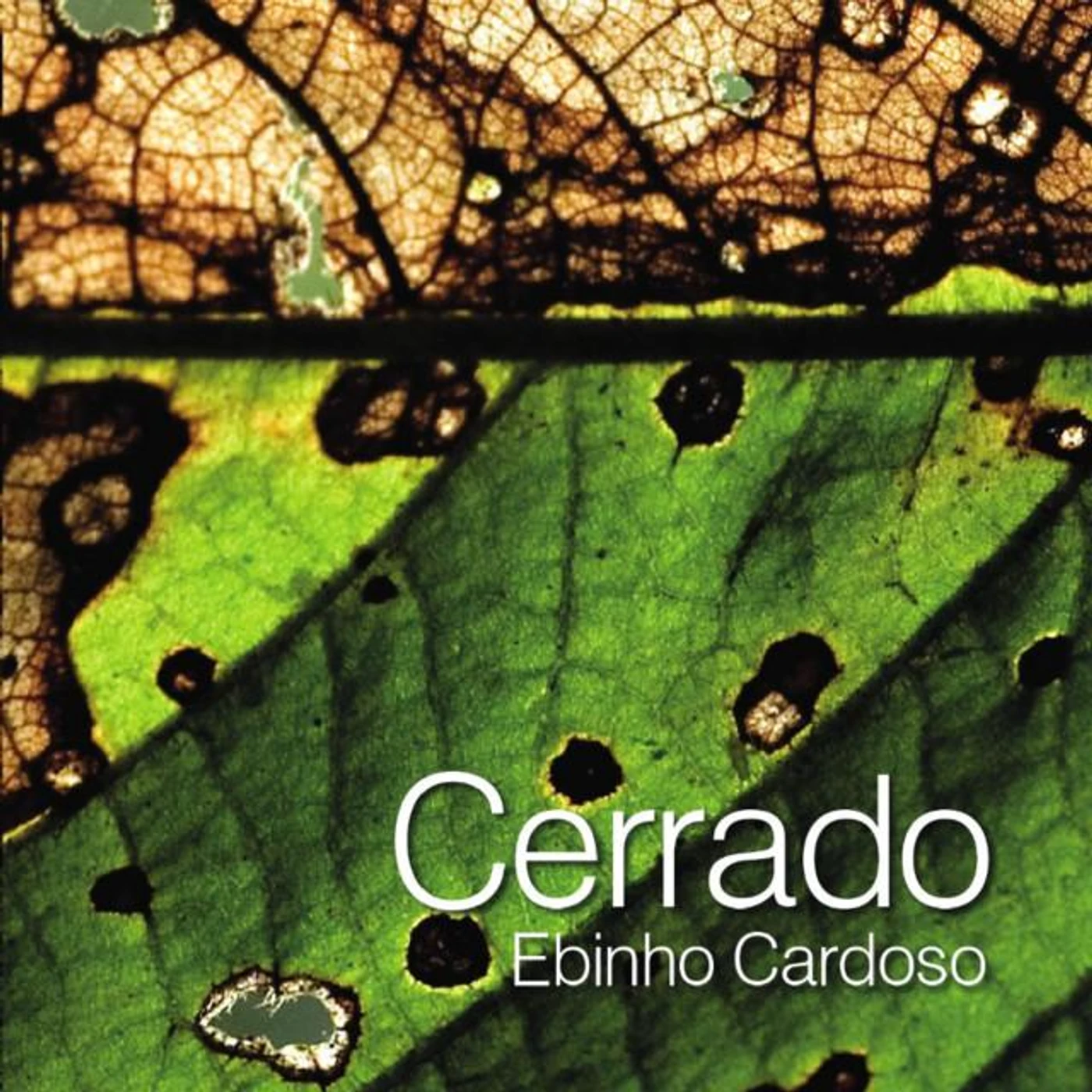Ebinho Cardoso Brand Page